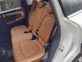 Mini Countryman Countryman (F60), SUV, 2016 1.5 TwinPower Turbo 12V Cooper SE ALL4 picture 17