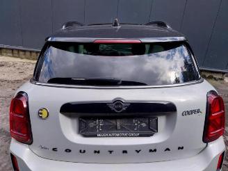 Mini Countryman Countryman (F60), SUV, 2016 1.5 TwinPower Turbo 12V Cooper SE ALL4 picture 7