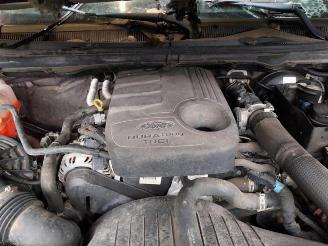 Ford Ranger  picture 8