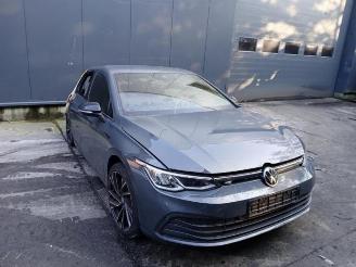 Auto da rottamare Volkswagen Golf Golf VIII (CD1), Hatchback, 2019 2.0 TDI BlueMotion 16V 2020/6