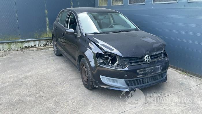Volkswagen Polo Polo V (6R), Hatchback, 2009 / 2017 1.2 12V BlueMotion Technology