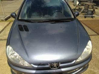 Peugeot 206 206 SW (2E/K), Combi, 2002 / 2007 1.4 HDi picture 8