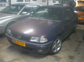 Opel Astra f cabrio picture 2