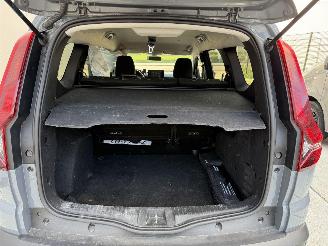 Dacia Jogger 1.0 TCE 110 Extreme CAMERA-NAVI-PDC picture 10