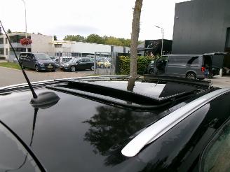 Mini Countryman 1.6 I COOPER EDITION CLIMA NAVI PANO LEDER picture 12