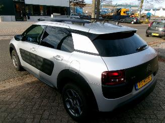 Citroën C4 cactus 1.2 PURETECH BUSINESS CLIMA NAVI PANO picture 9