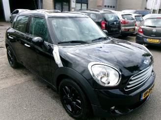 Mini Countryman 1.6 I COOPER EDITION CLIMA NAVI LEDER PANO picture 7