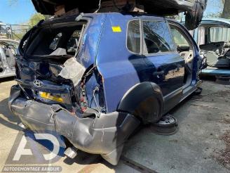 Hyundai Tucson Tucson (JM), SUV, 2004 / 2010 2.0 CRDi VGT 16V 4x2 picture 2