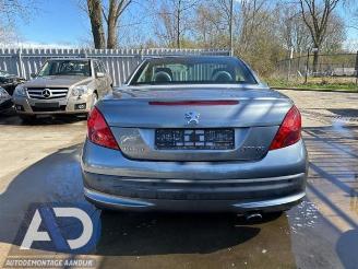 Peugeot 207 207 CC (WB), Cabrio, 2007 / 2015 1.6 16V picture 6