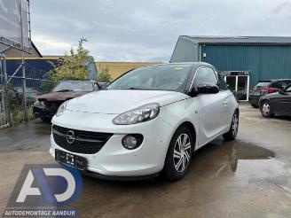 disassembly passenger cars Opel Adam Adam, Hatchback 3-drs, 2012 / 2019 1.2 16V 2014