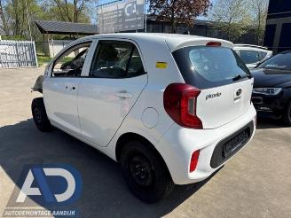 Kia Picanto Picanto (JA), Hatchback, 2017 1.0 12V picture 3