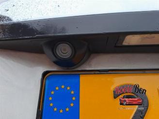 Dodge Caravan Grand Caravan, MPV, 2007 / 2020 4.0 picture 35