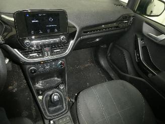 Ford Fiesta BUSINESS picture 10