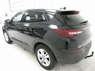 Opel Grandland  picture 6