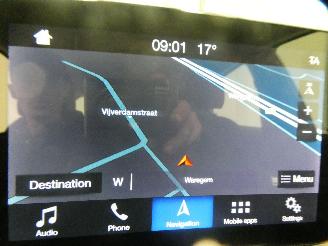 Ford Fiesta BUSINESS picture 13