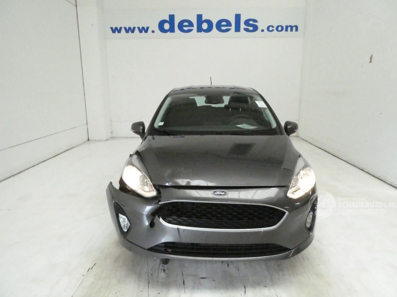 Ford Fiesta BUSINESS