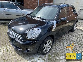 Dezmembrări autoturisme Mini Countryman  2011/1