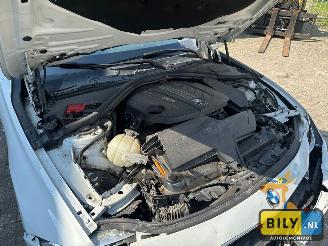 BMW 3-serie F31 320D N47 Alpineweiss 3 picture 8