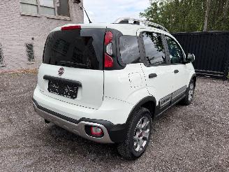 Fiat Panda CROSS picture 17
