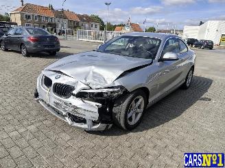 Voiture accidenté BMW 2-serie  2018/6