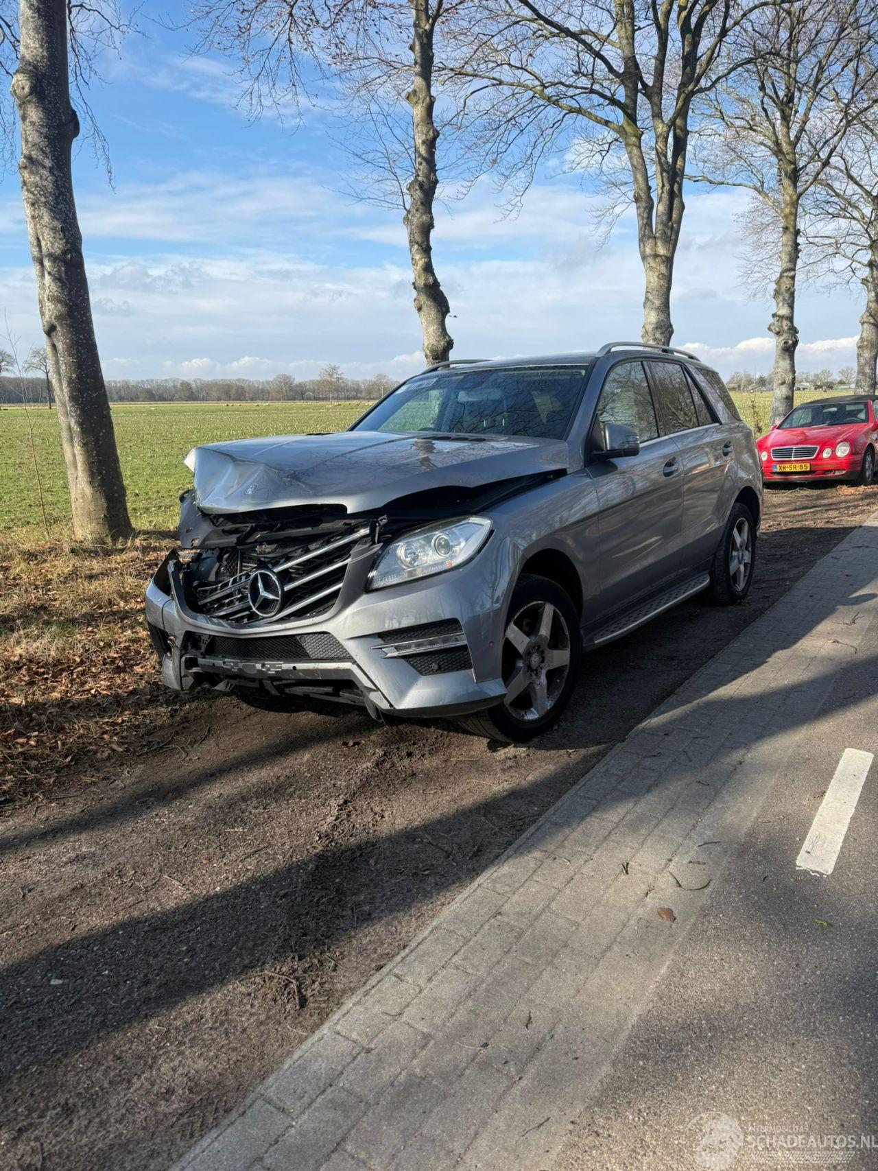 Mercedes ML ML 250 BLEUTEC 4 MATIC