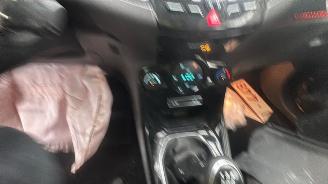 Ford Fiesta TITANIUM ECONETIC picture 30