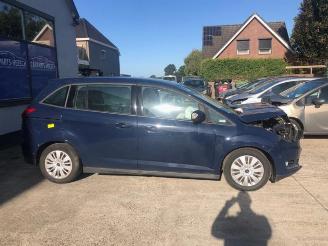 Ford Grand C-Max Grand C-Max (DXA), MPV, 2010 / 2019 1.0 Ti-VCT EcoBoost 12V 100 picture 5