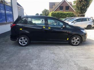 Ford Grand C-Max Grand C-Max (DXA), MPV, 2010 / 2019 1.0 Ti-VCT EcoBoost 12V 125 picture 4