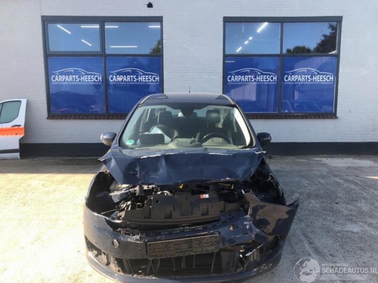 Ford Grand C-Max Grand C-Max (DXA), MPV, 2010 / 2019 1.0 Ti-VCT EcoBoost 12V 100