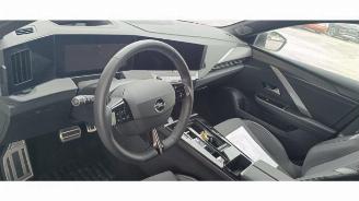 Opel Astra Astra L (F3/FB/FM/FP), Hatchback 5-drs, 2021 Electric 54/58 kWh picture 5