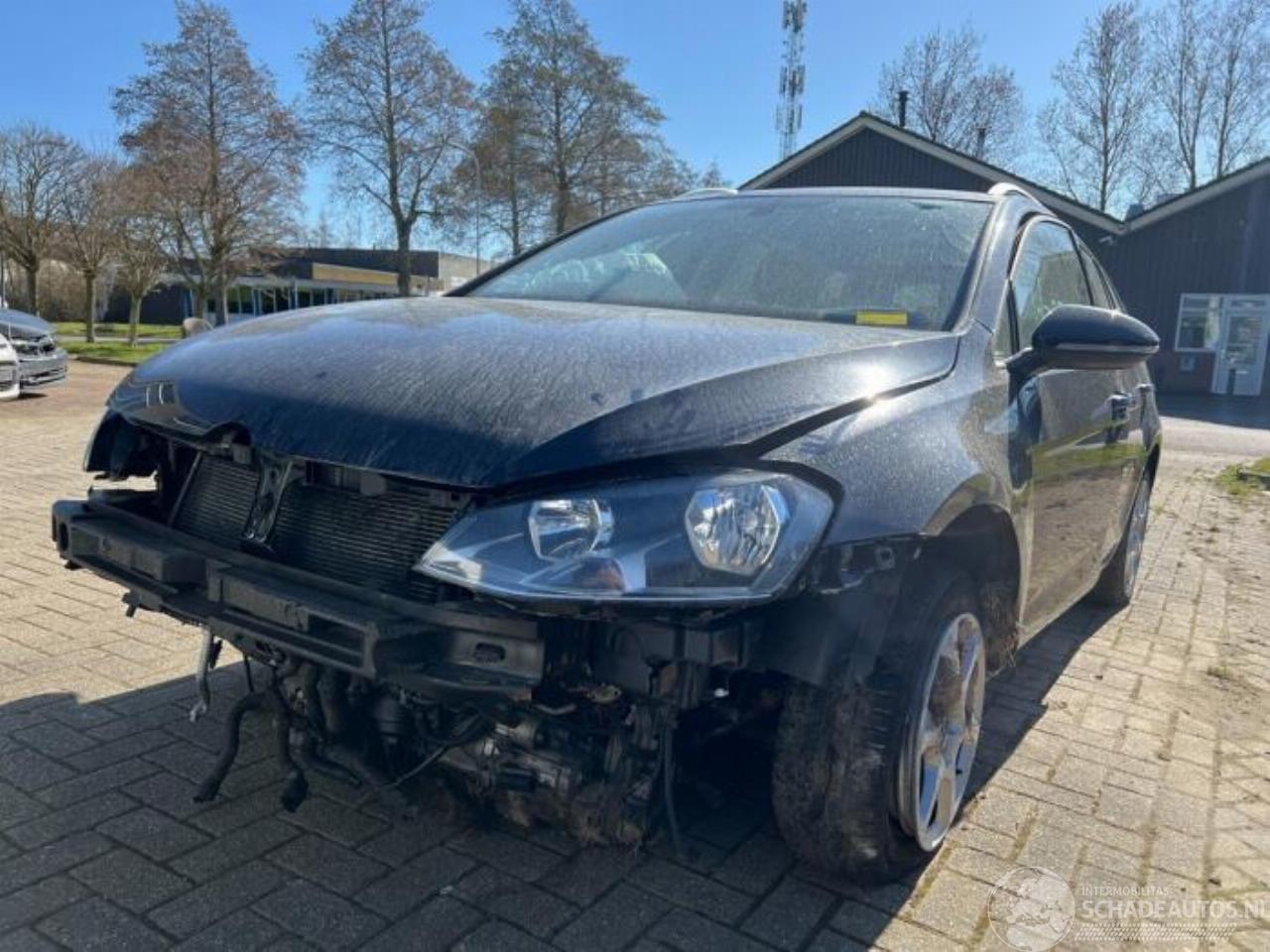 Volkswagen Golf Golf VII Variant (AUVV), Combi, 2013 / 2021 1.6 TDI 16V