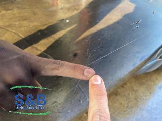 Mini Mini  picture 13