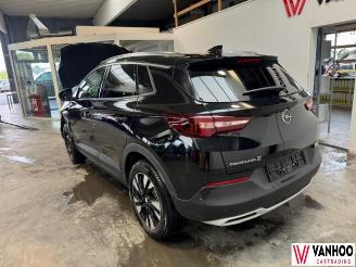 Opel Grandland X picture 14