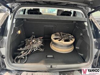 Opel Grandland X picture 13