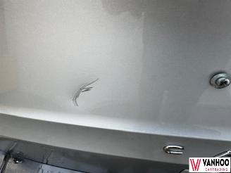 Volkswagen Caddy MAXI picture 7