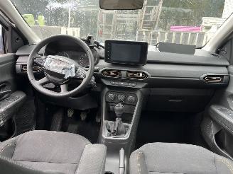 Dacia Sandero TCe 100 ECO-G Stepway - LPG picture 12