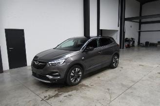 uszkodzony samochody osobowe Opel Grandland SUV 2019/9