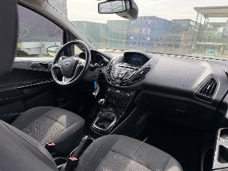 Ford B-Max 1.0 EcoBoost Titanium picture 7