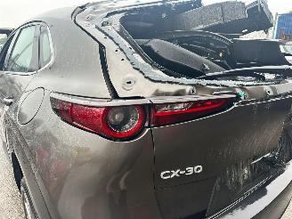 Mazda CX-30 2.0 HYBRIDE picture 8